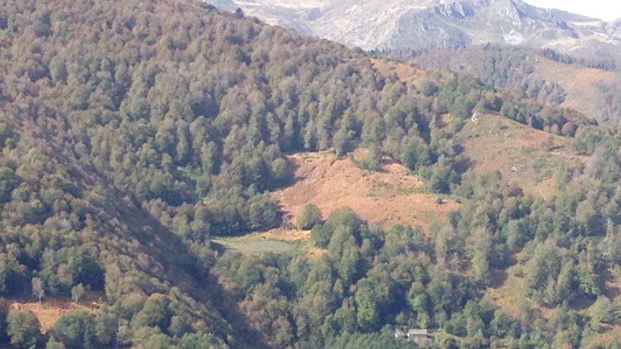 Photo of Outdoor in Borce