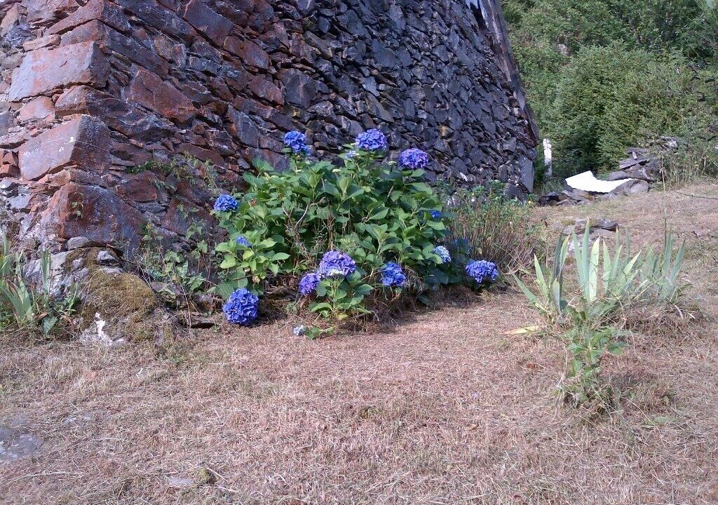 Photo of Outdoor in Borce