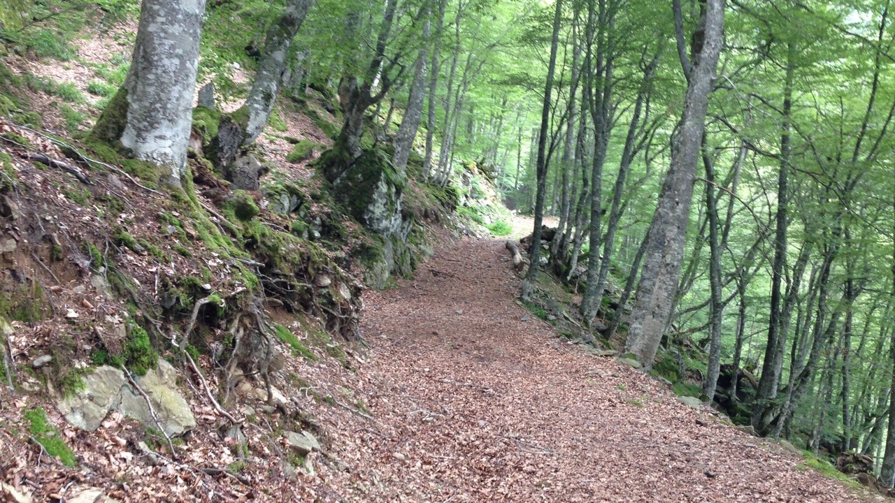 Photo of Outdoor in Borce