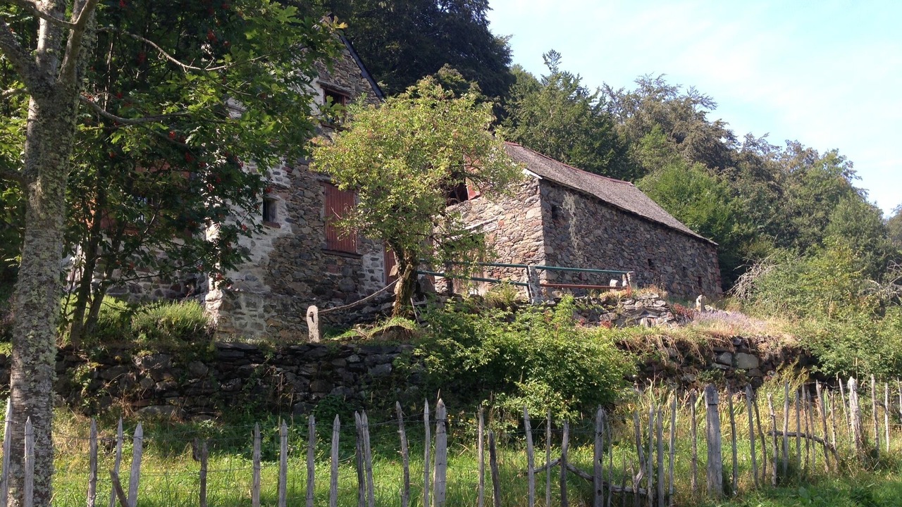 Photo of Outdoor in Borce