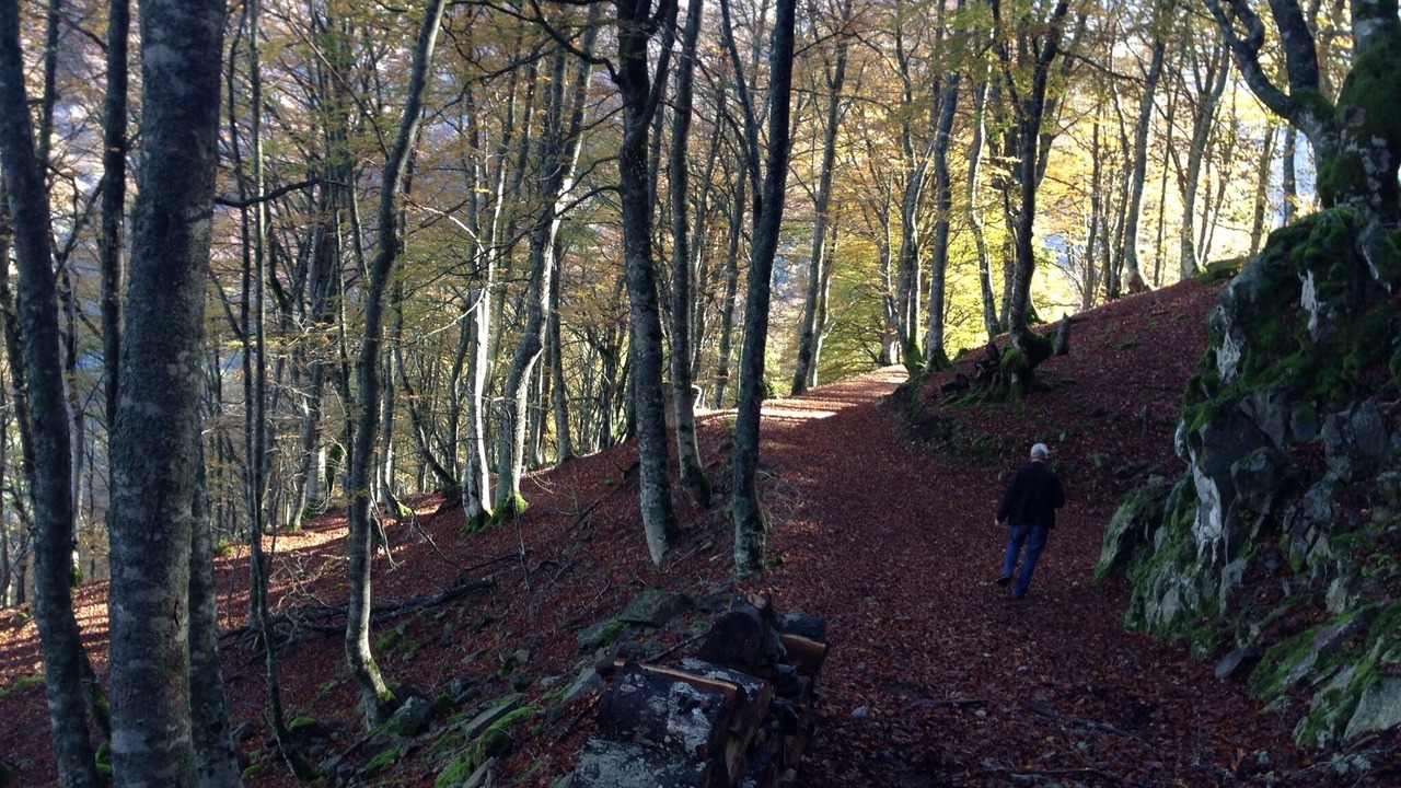 Photo of Outdoor in Borce