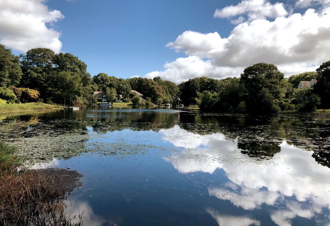 Photo of Others in Mashpee