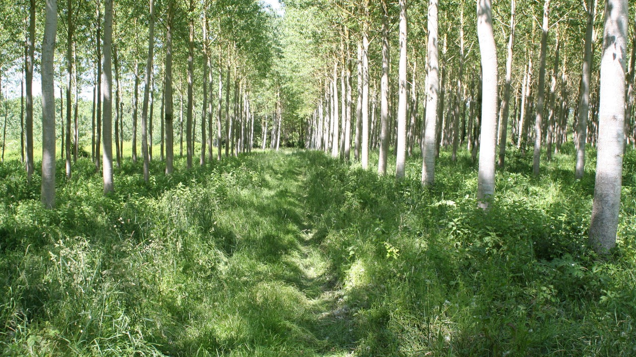 Photo of Outdoor in Brehemont