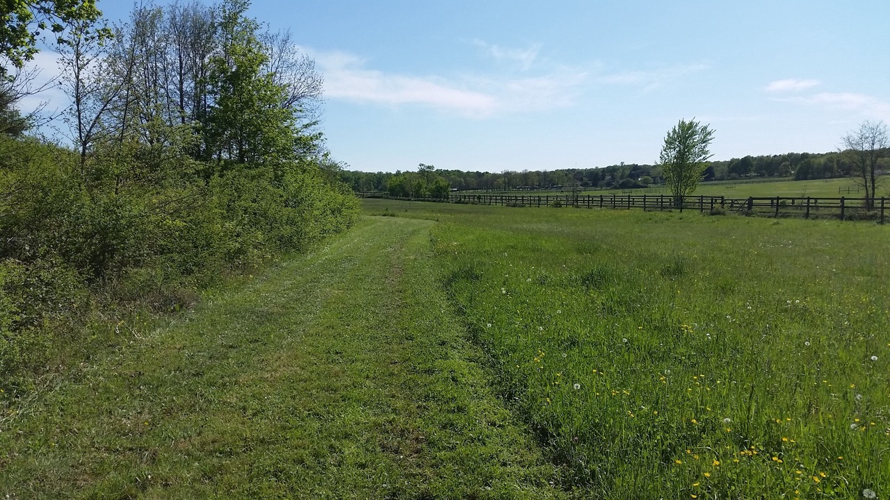 Photo of Outdoor in Saint-Hilaire-Saint-Florent