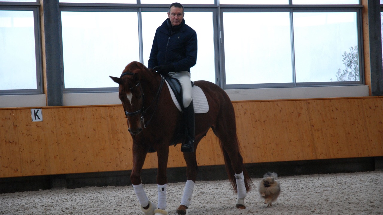 Photo of Others in Saint-Hilaire-Saint-Florent