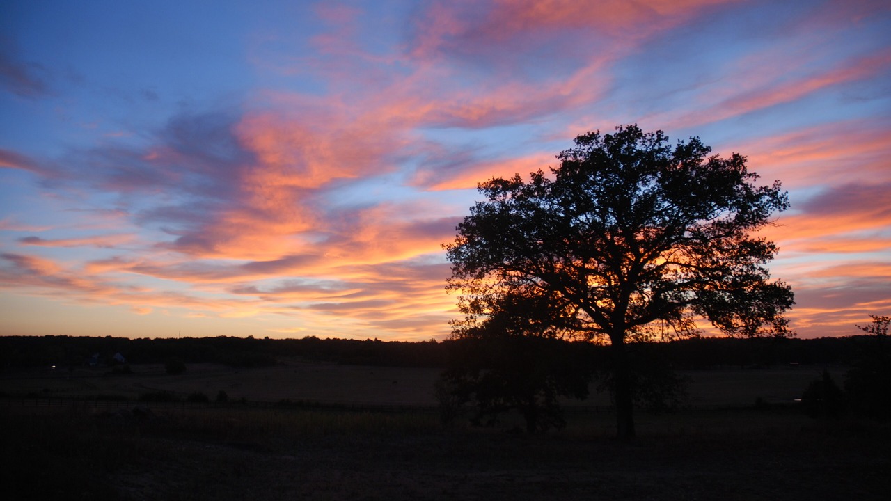 Photo of Outdoor in Saint-Hilaire-Saint-Florent