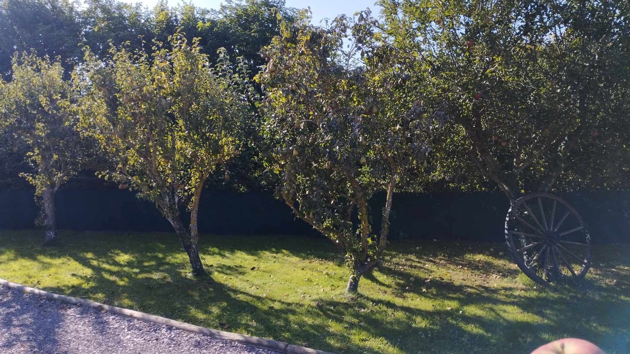 Photo of Outdoor in Coulombs