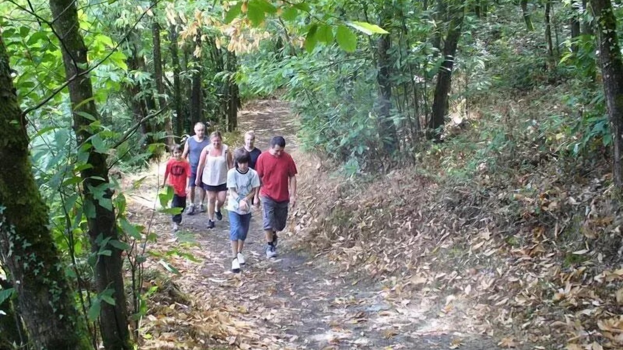 Photo of Others in Saint-Laurent-sur-Sevre