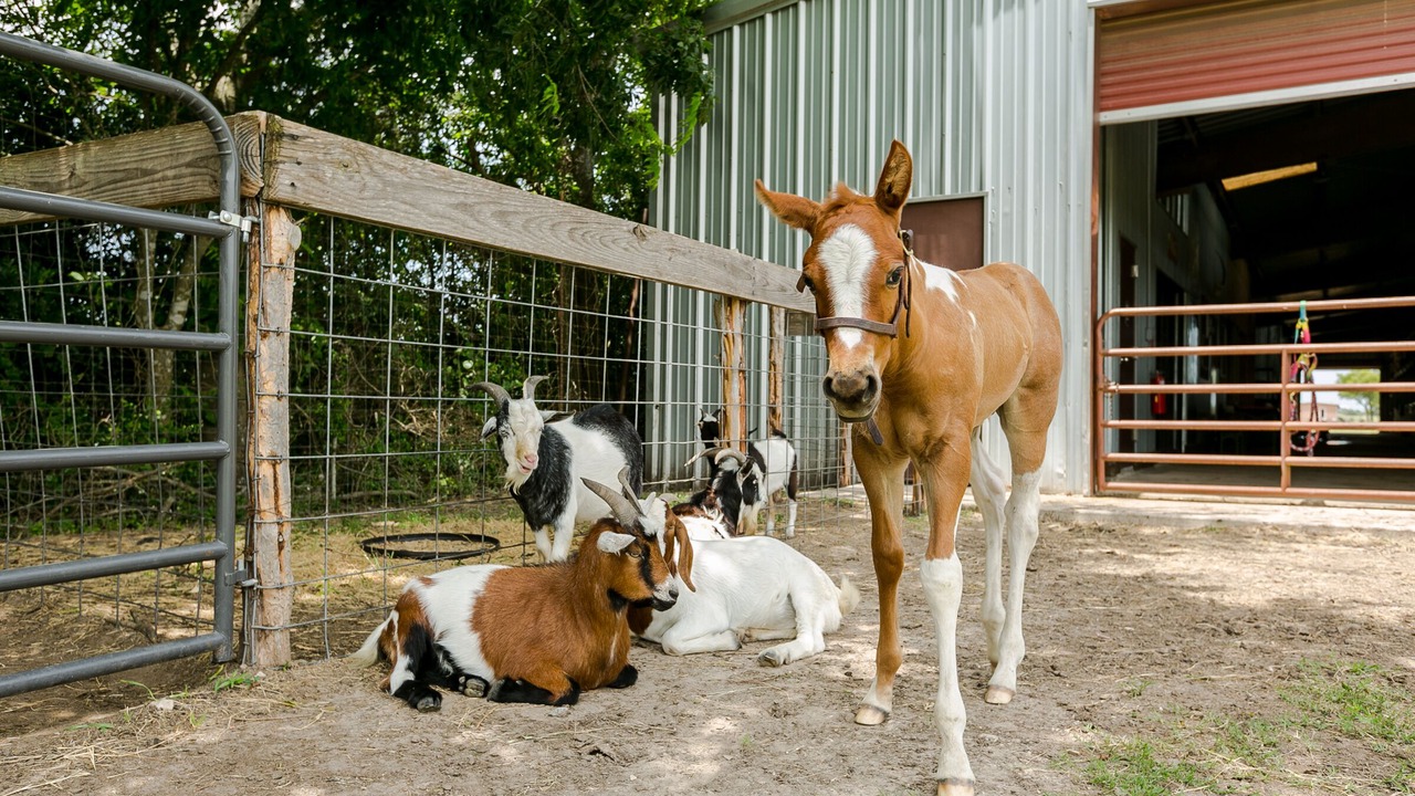Photo of Others in Brenham