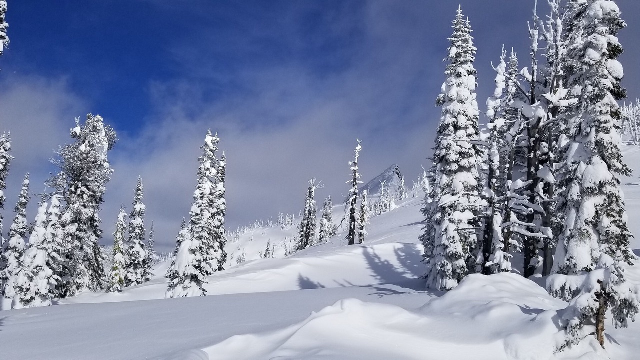 Photo of Others in New Meadows