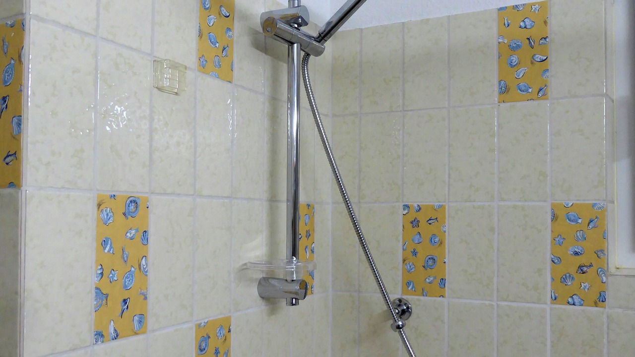 Photo of Bathroom in Isorno