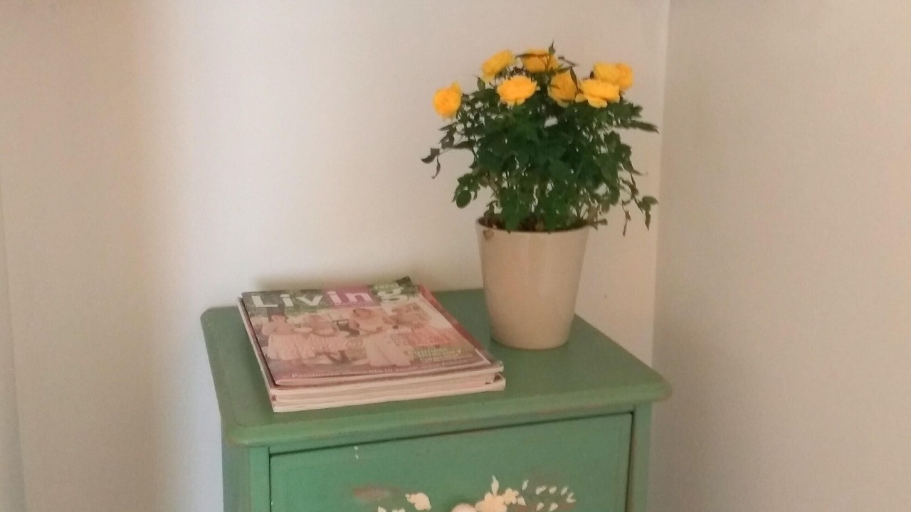 Photo of Others in Gout-Rossignol