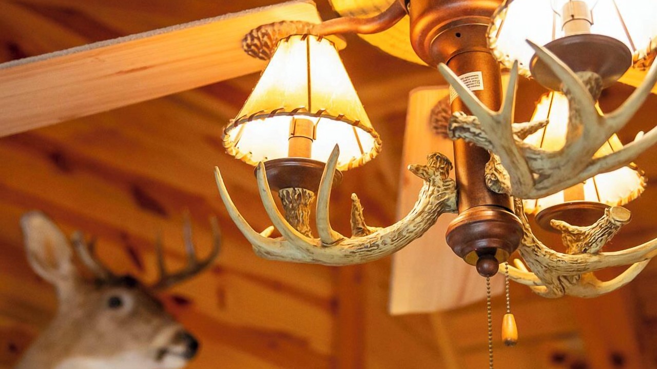 Photo of Others in South Bloomingville