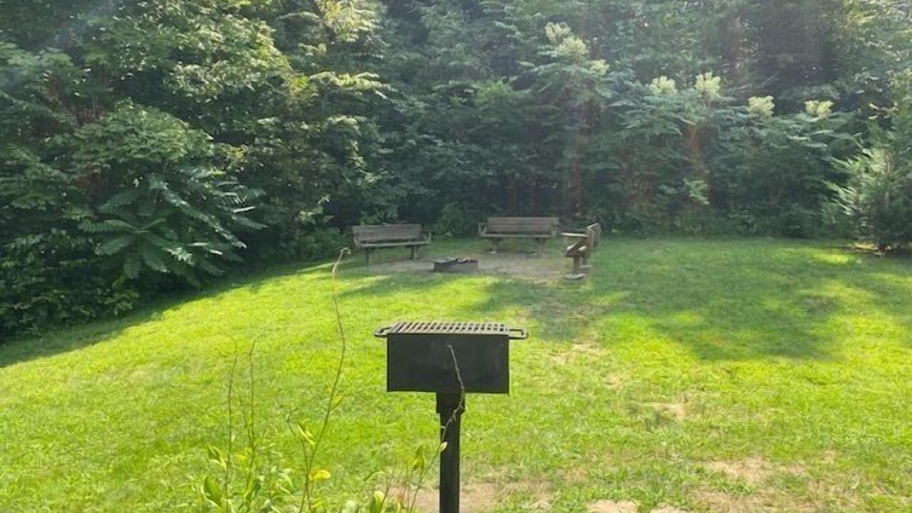 Photo of Others in South Bloomingville