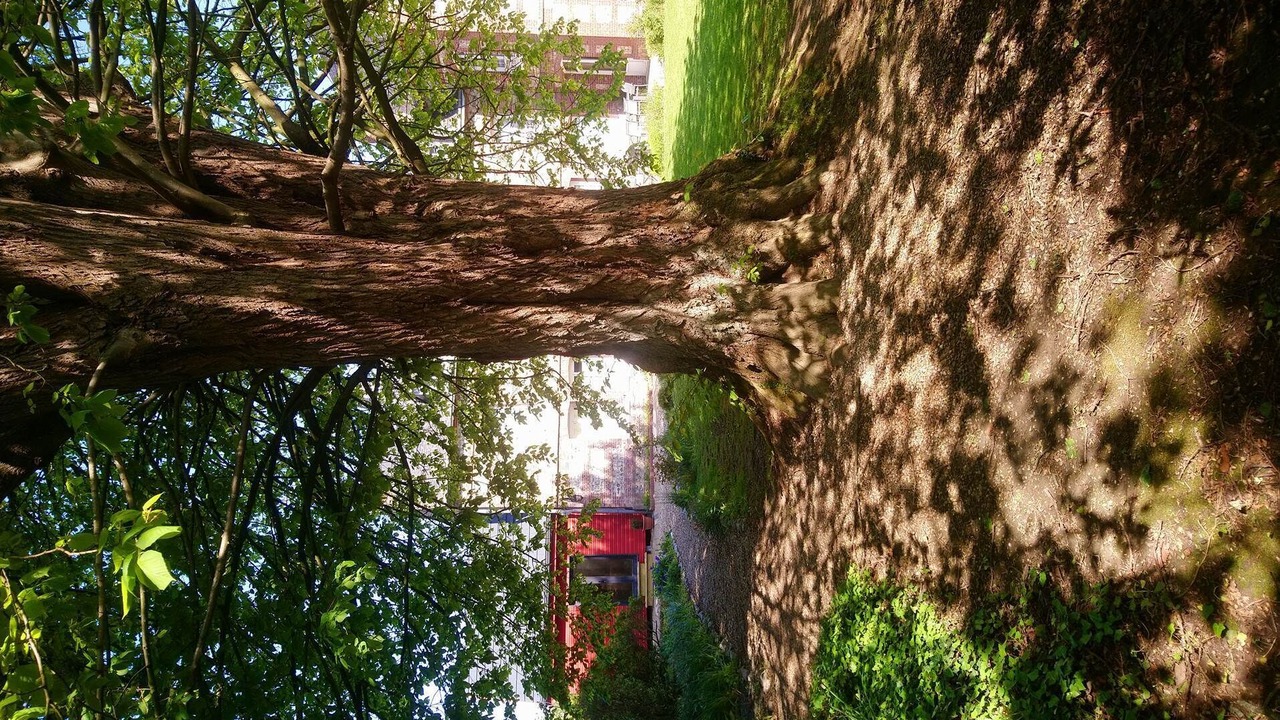 Photo of Others in Criquebeuf-en-Caux