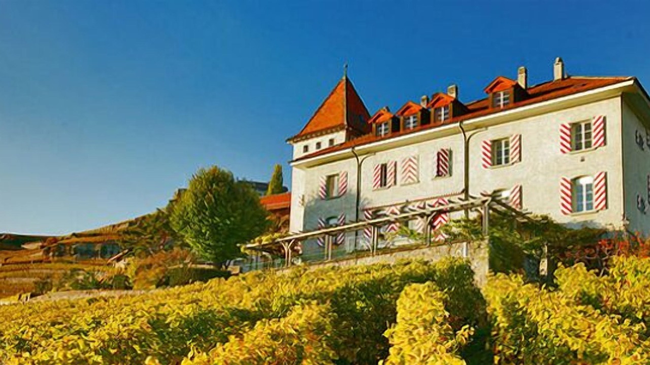 Photo of Outdoor in Chardonne