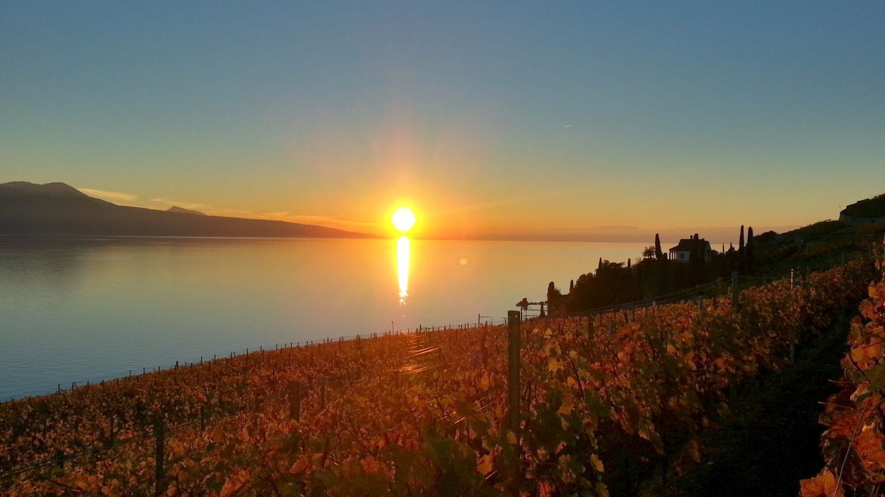 Photo of Outdoor in Chardonne