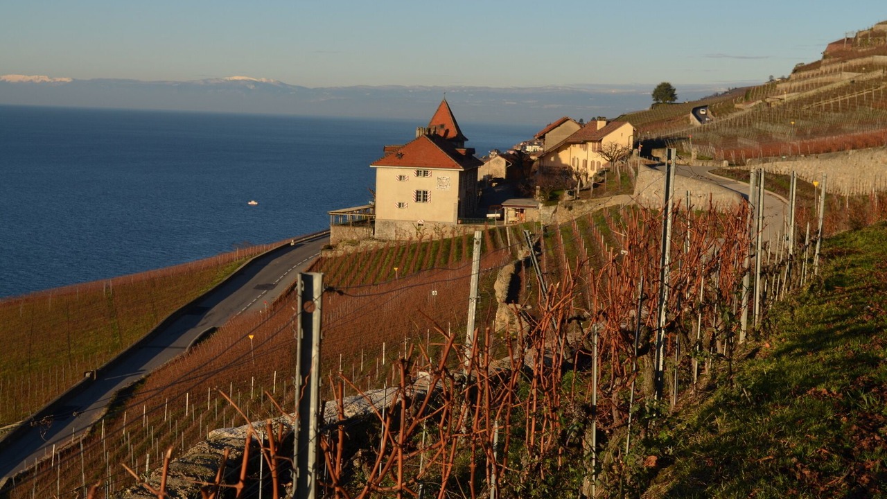 Photo of Others in Chardonne