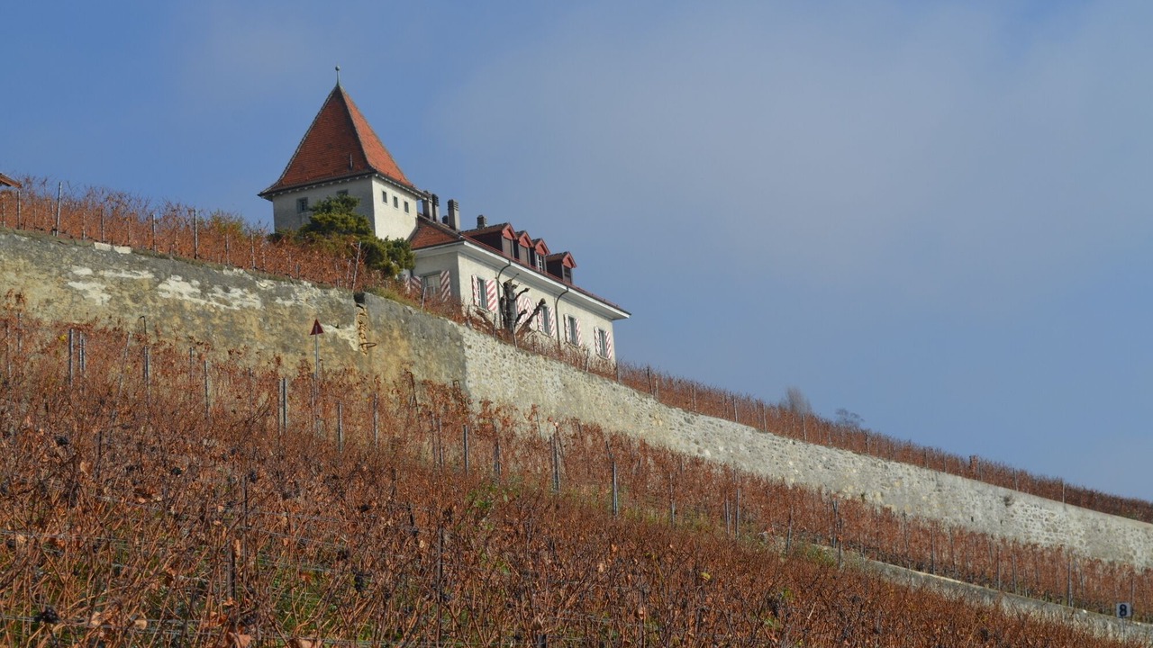 Photo of Outdoor in Chardonne