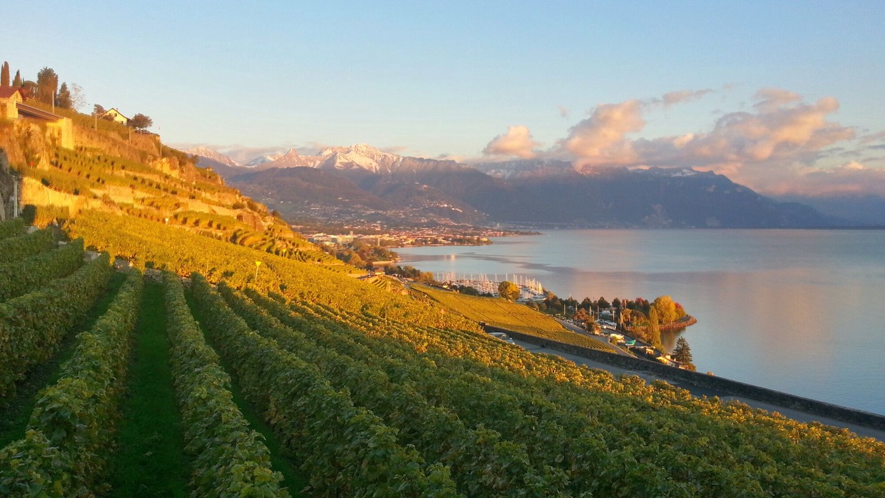 Photo of Others in Chardonne