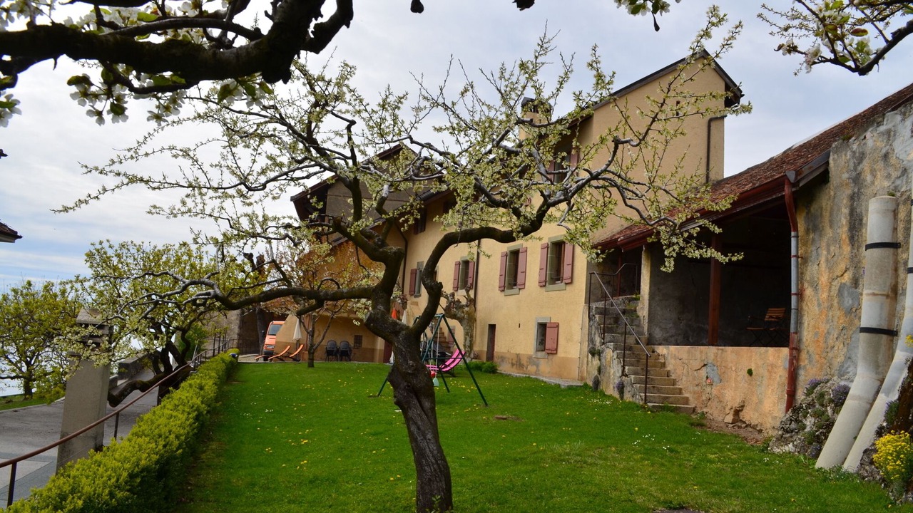 Photo of Outdoor in Chardonne
