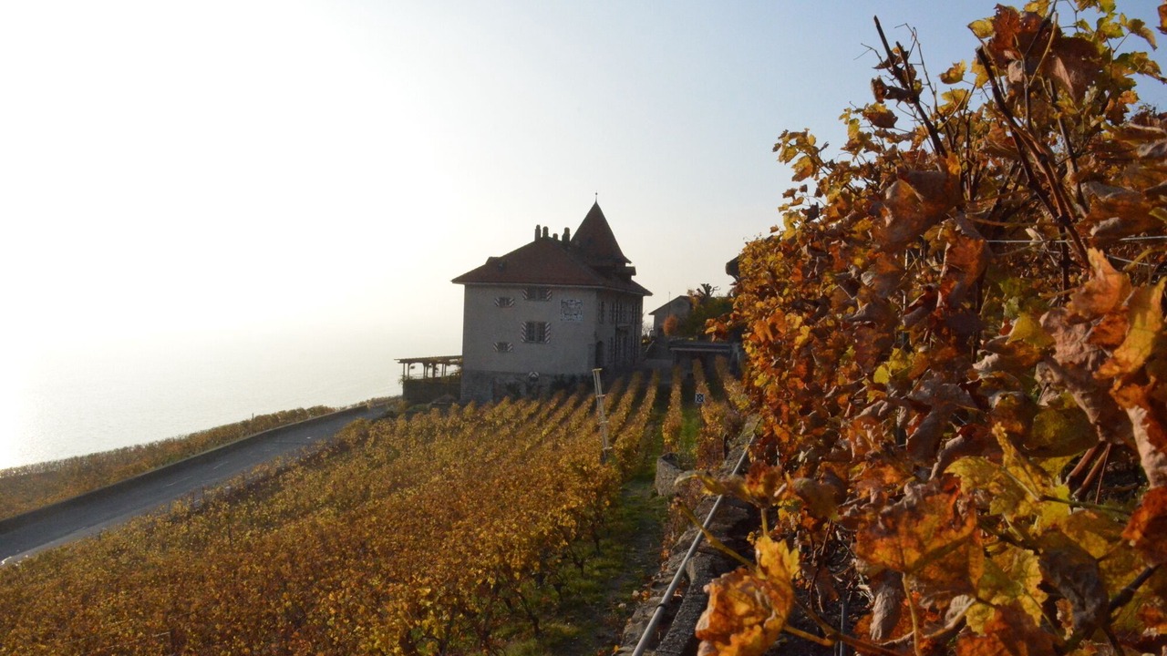 Photo of Outdoor in Chardonne