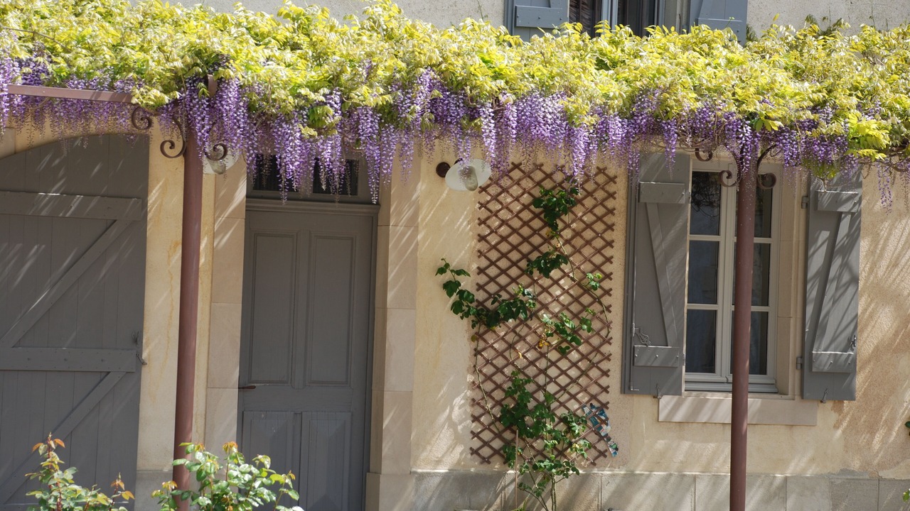 Photo of Outdoor in Alzonne
