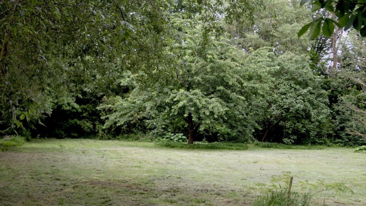 Photo of Outdoor in Alzonne