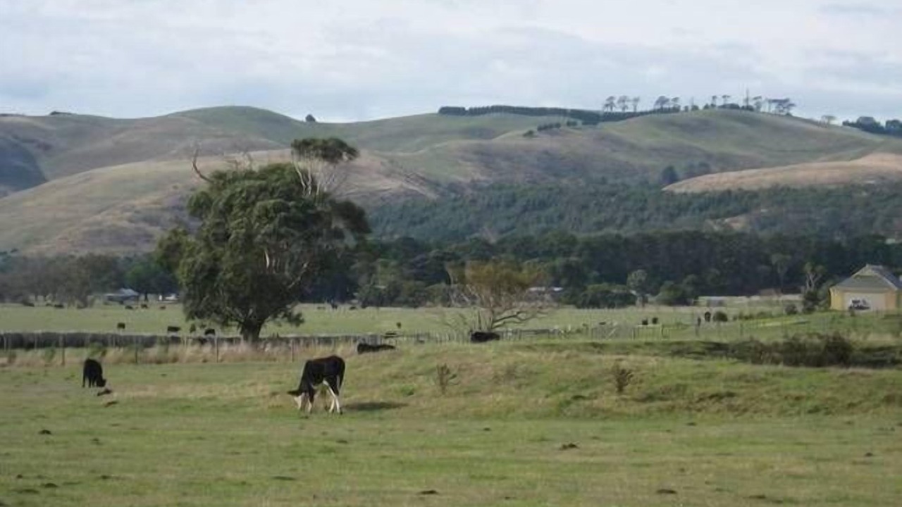 Photo of Others in Woolamai
