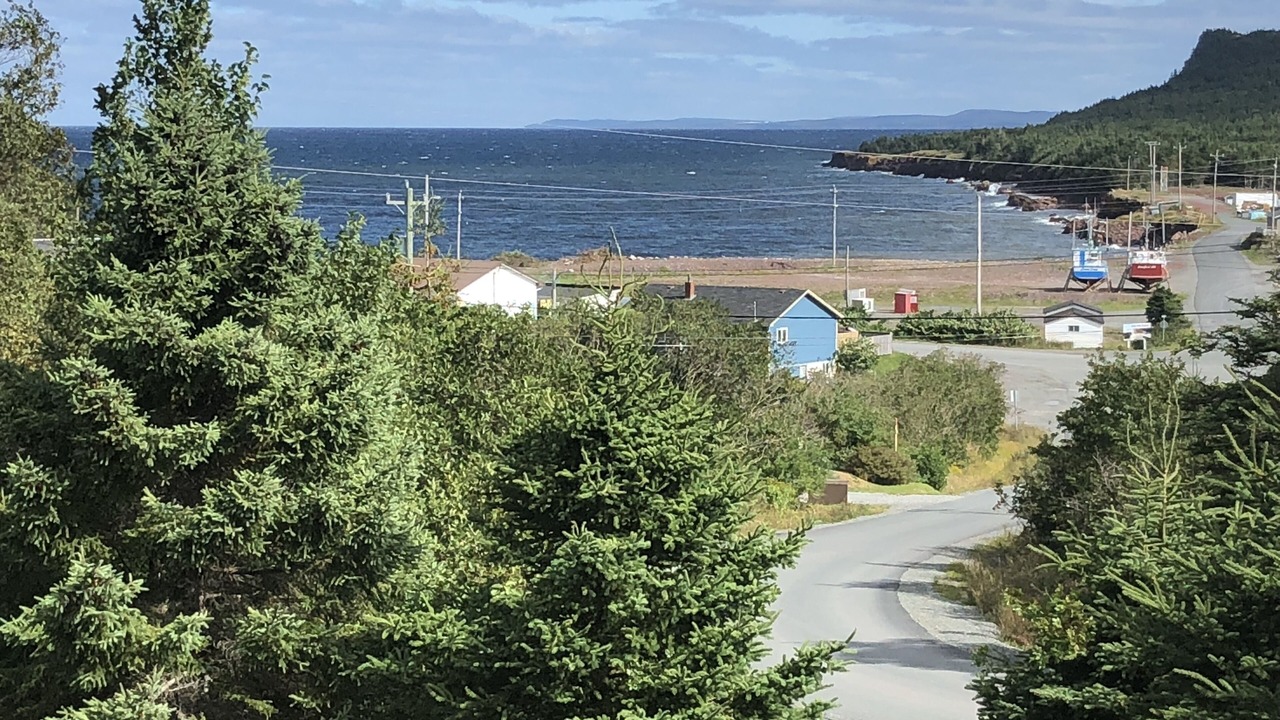 Photo of Others in Norman's Cove-Long Cove