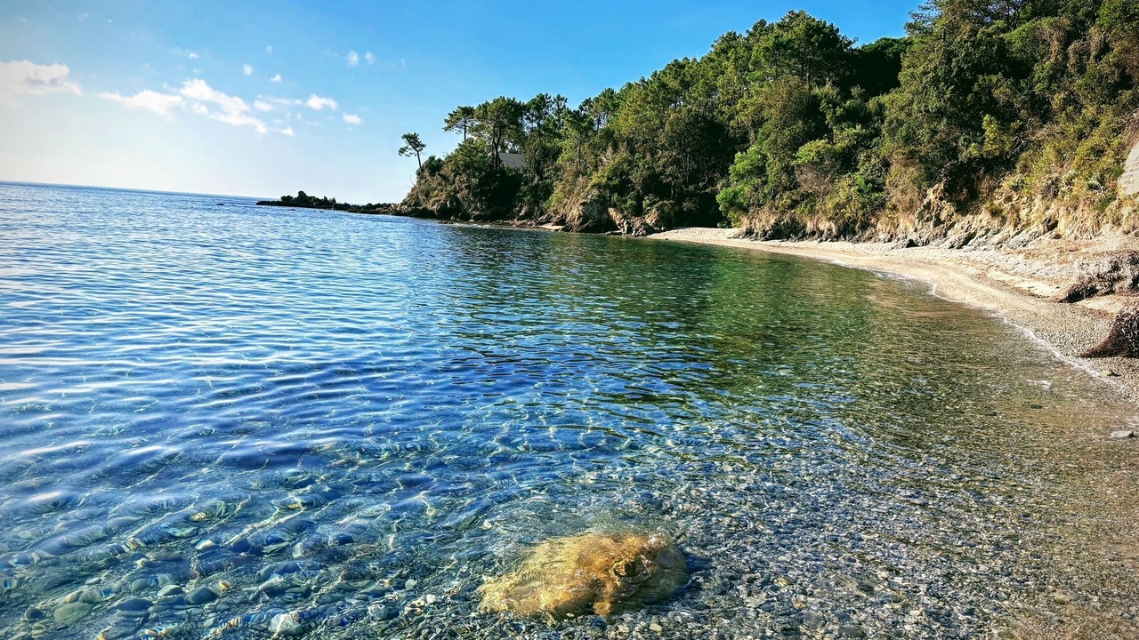 Photo of Others in Favone