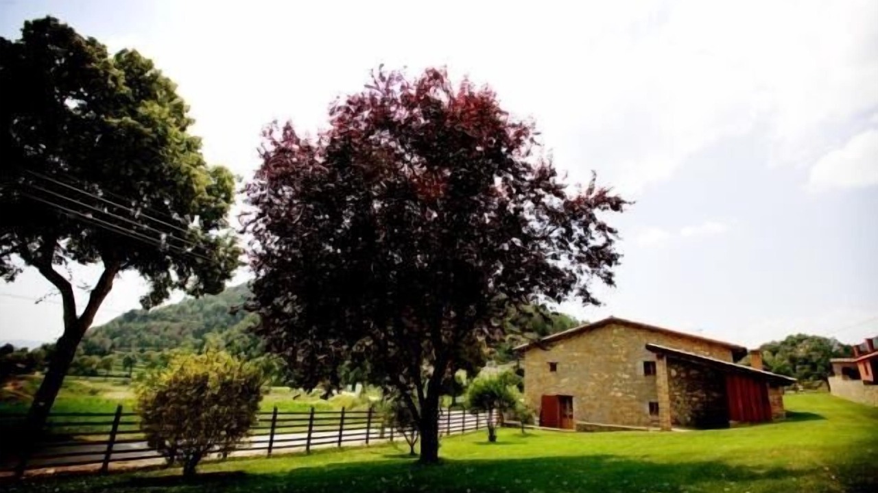 Photo of Outdoor in Santa Maria de Besora