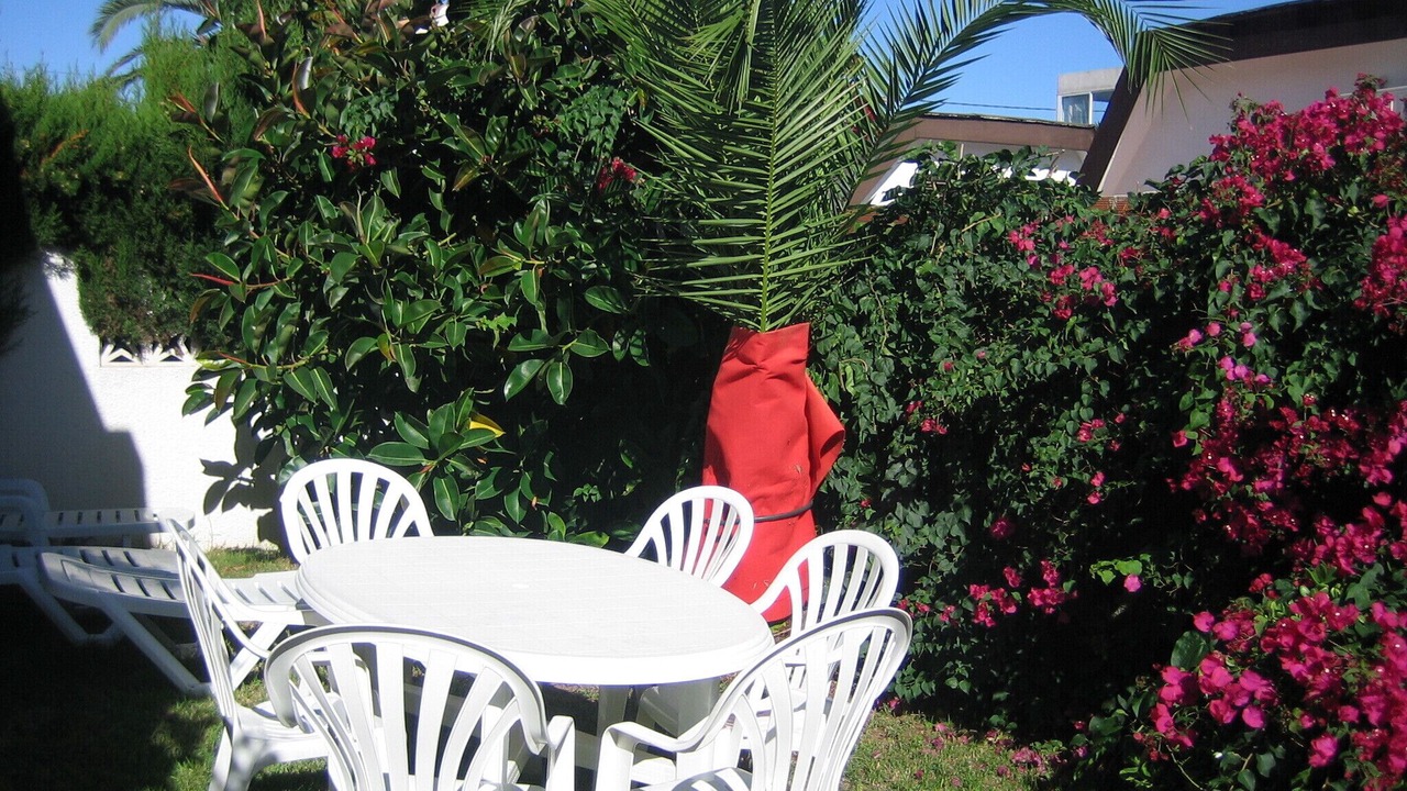Photo of Outdoor in Vinaros