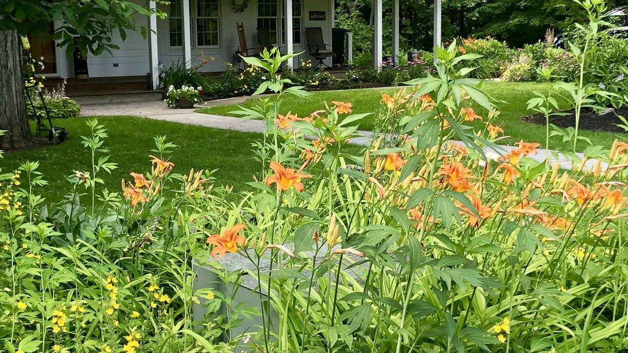 Photo of Outdoor in Chaumont