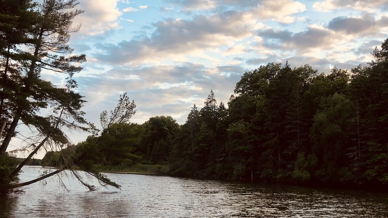 Photo of Others in Chaumont
