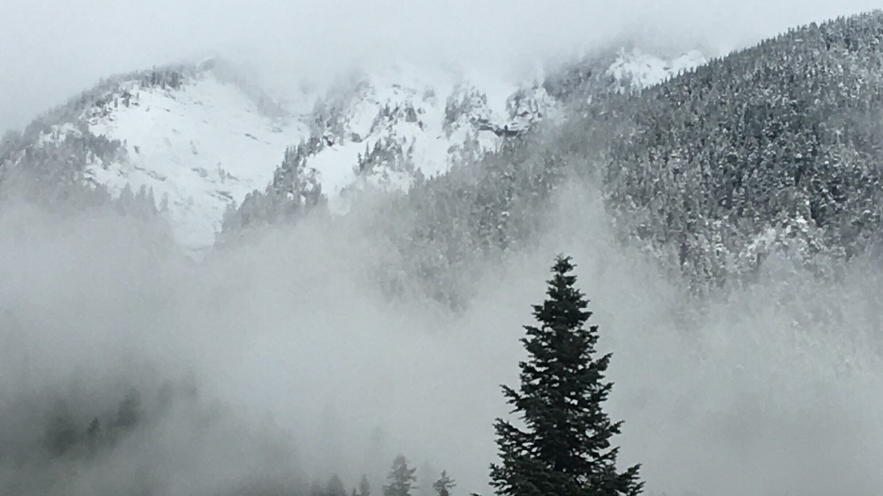 Photo of Others in Gold Bar