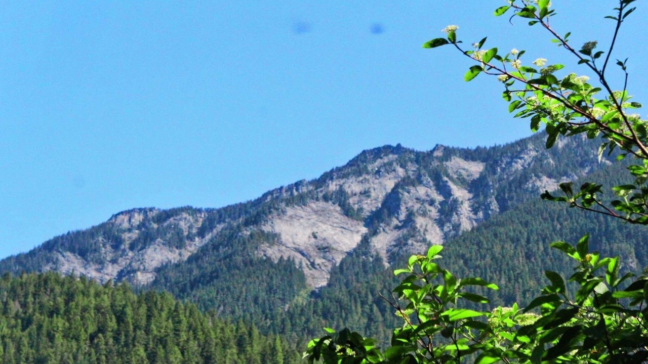 Photo of Outdoor in Gold Bar