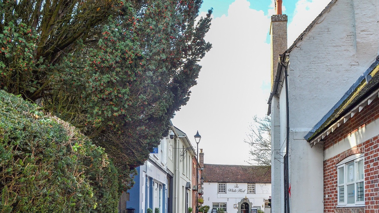 Photo of Others in Wimborne