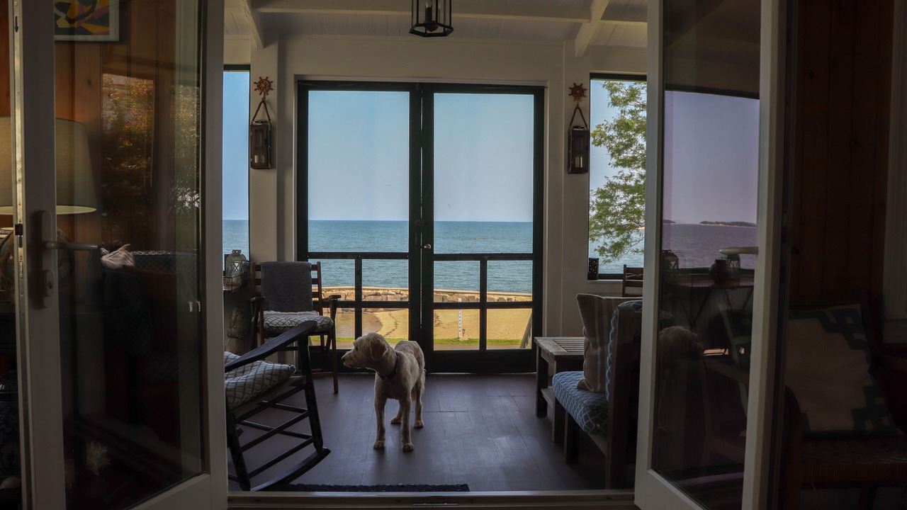 Photo of Outdoor in Branford