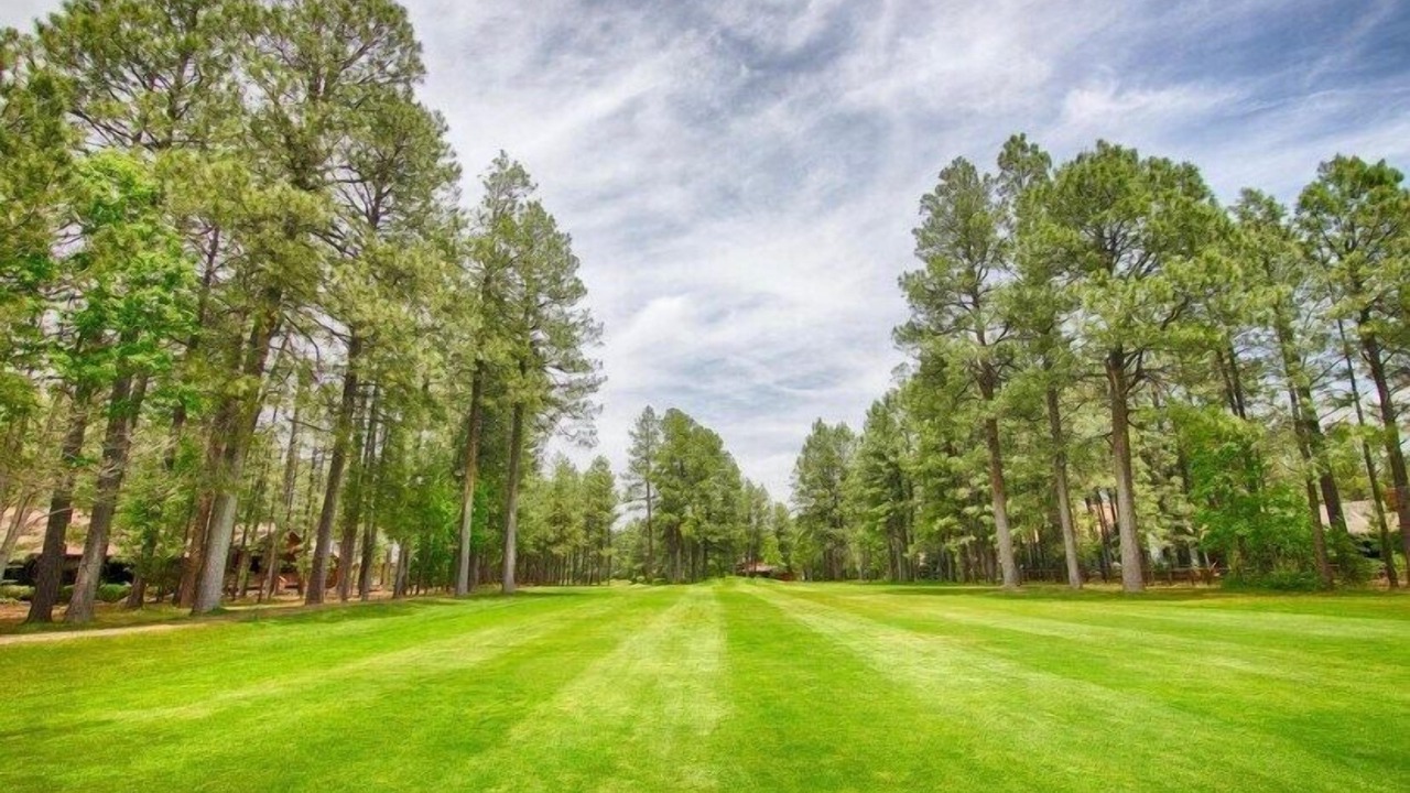 Photo of Others in Pinetop