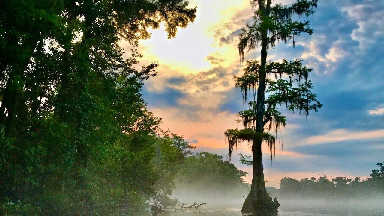 Photo of Outdoor in Crawfordville