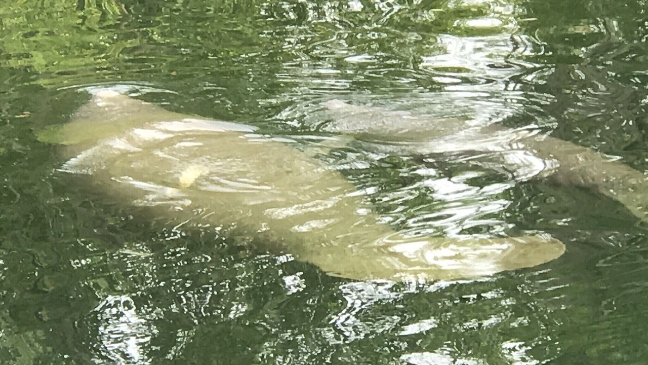 Photo of Others in Crawfordville