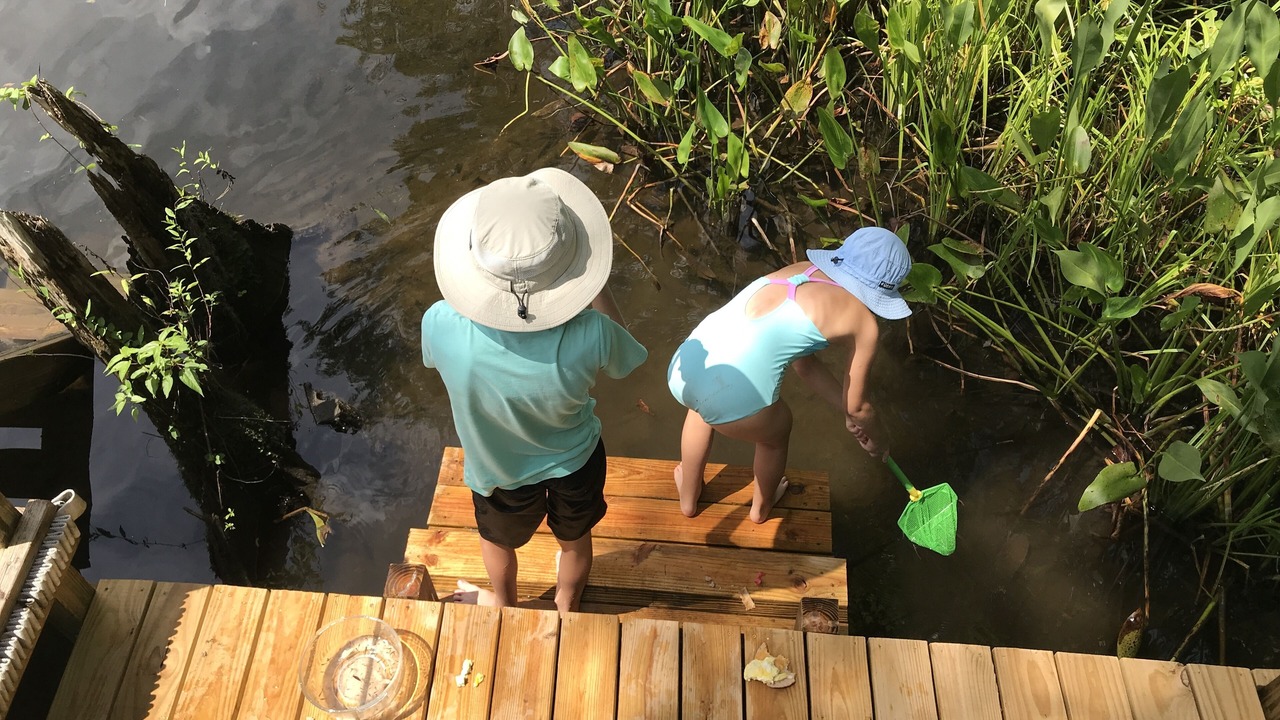 Photo of Outdoor in Crawfordville