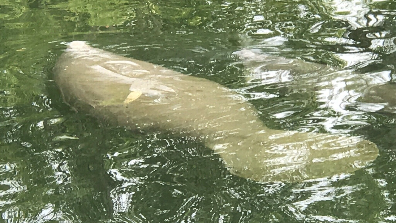 Photo of Others in Crawfordville