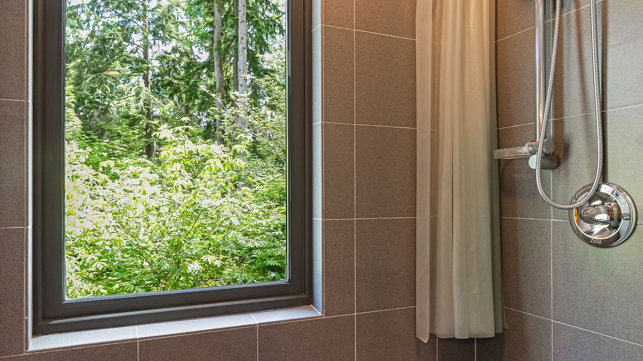 Photo of Others in Bellingham