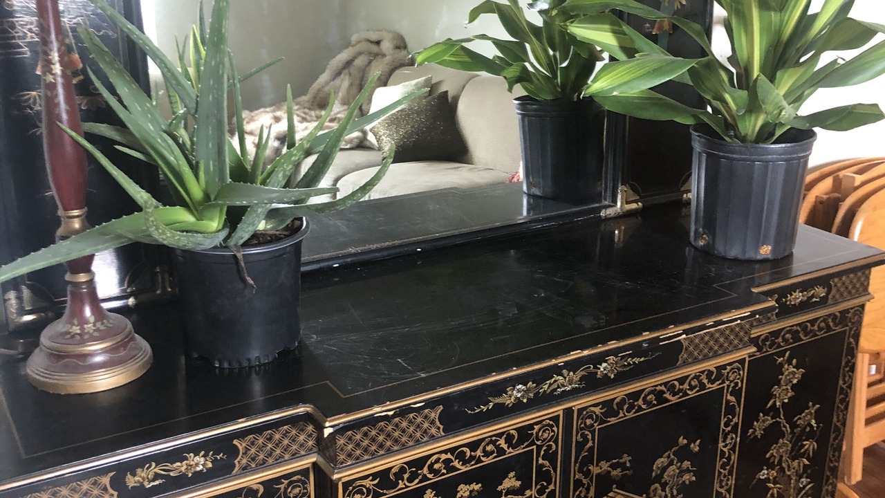 Photo of Others in Little Falls