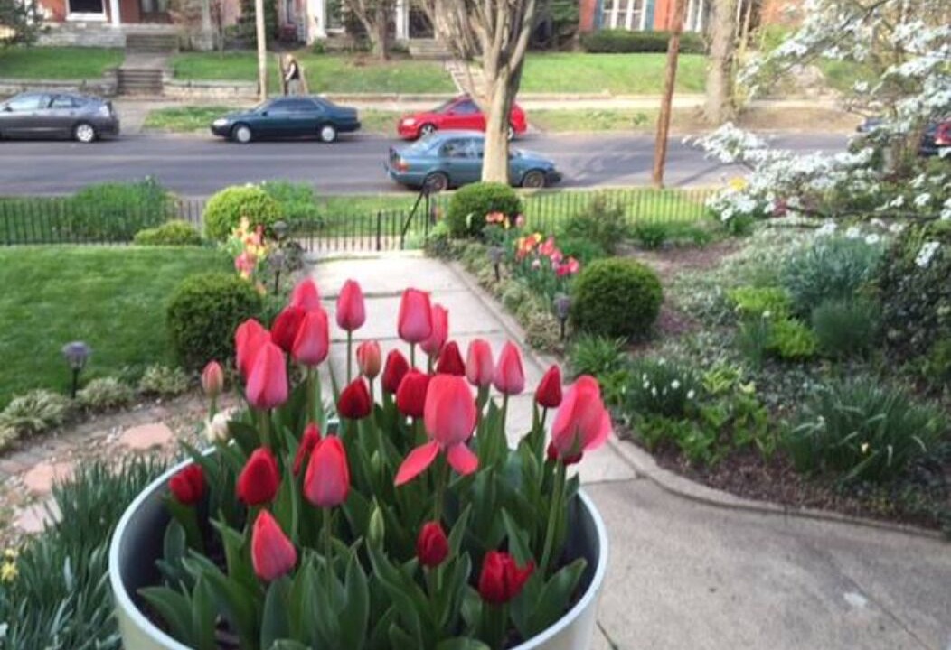 Photo of Others in Cherokee Triangle