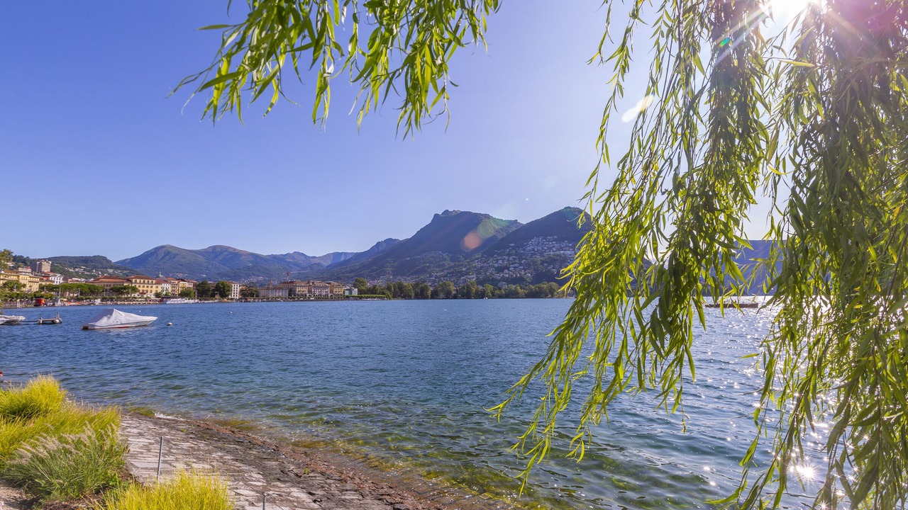 Photo of Others in Lugano