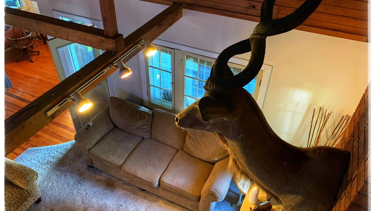 Photo of Others in Conesus