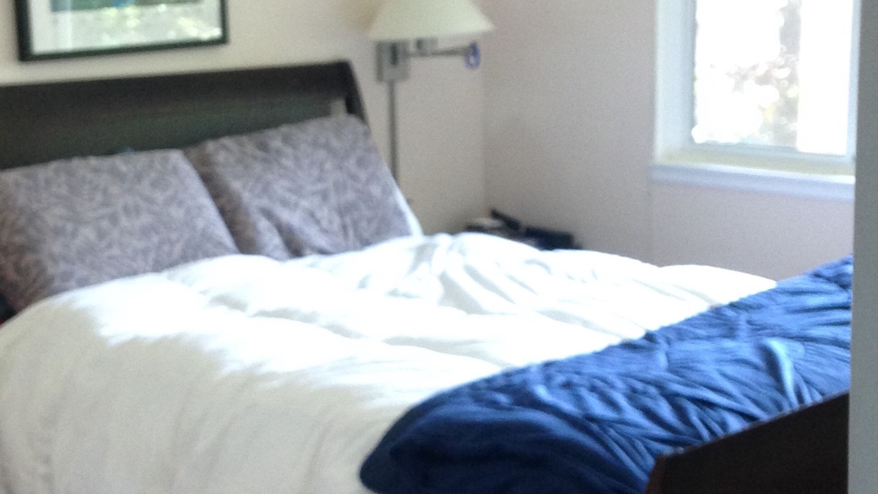 Photo of Others in Almonte